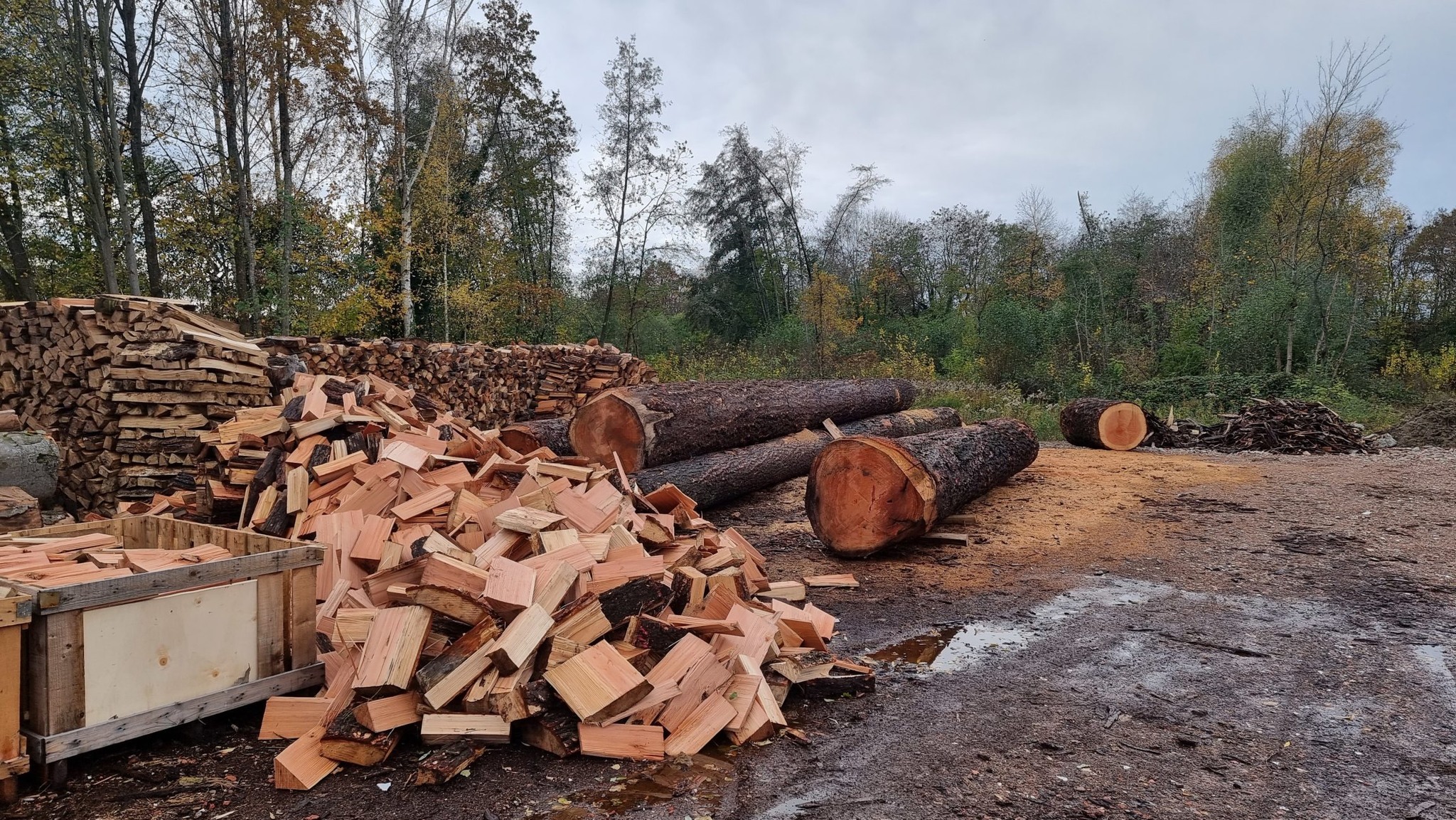 Hiérarchie des usages du bois et intégration du bois recyclé dans les panneaux